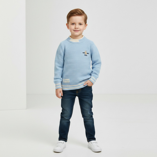 Boys Textured Knit Sweater Jersey – Light Blue